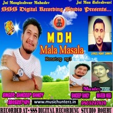 MDH Mala Masala Non Stop